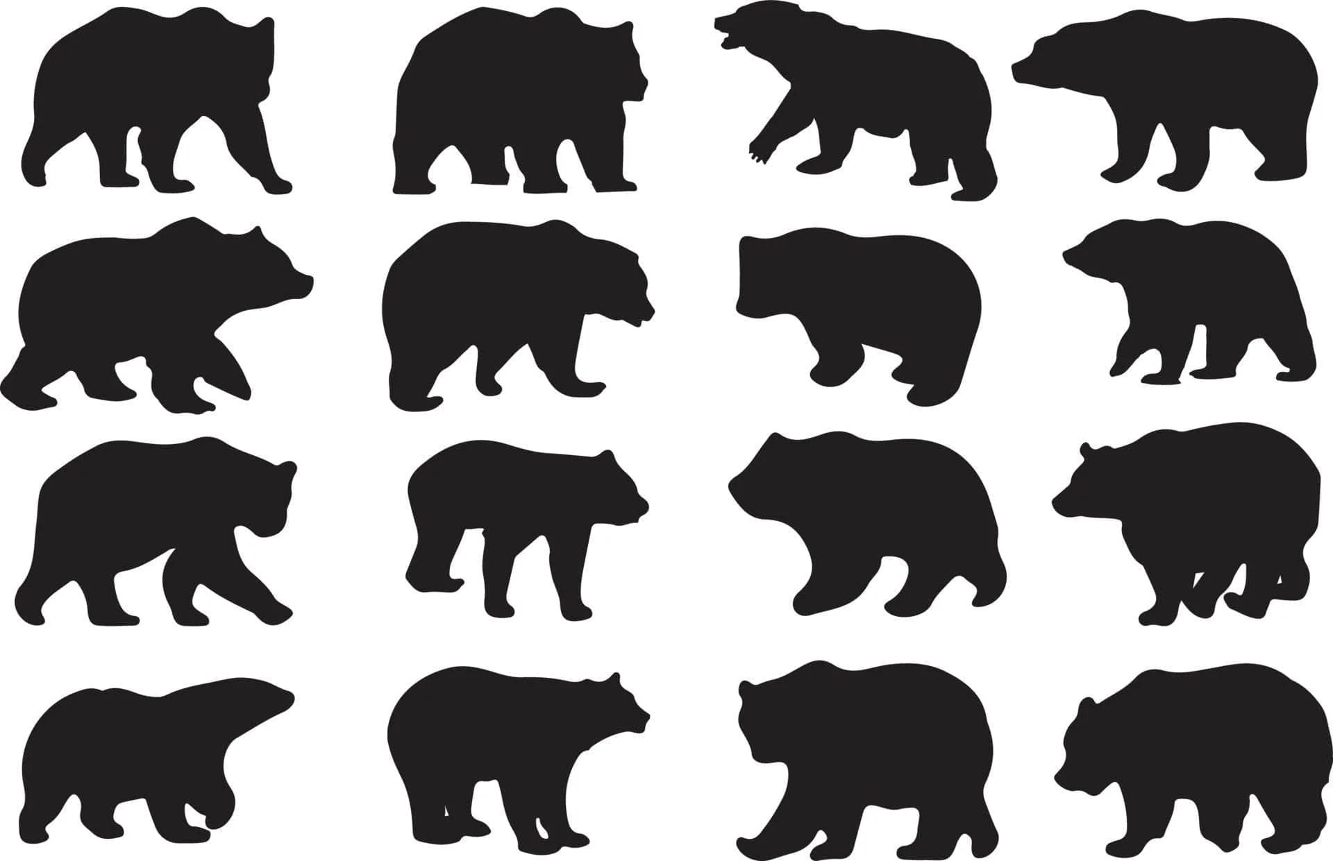 Bear Vinyl - Flexa - Image 3