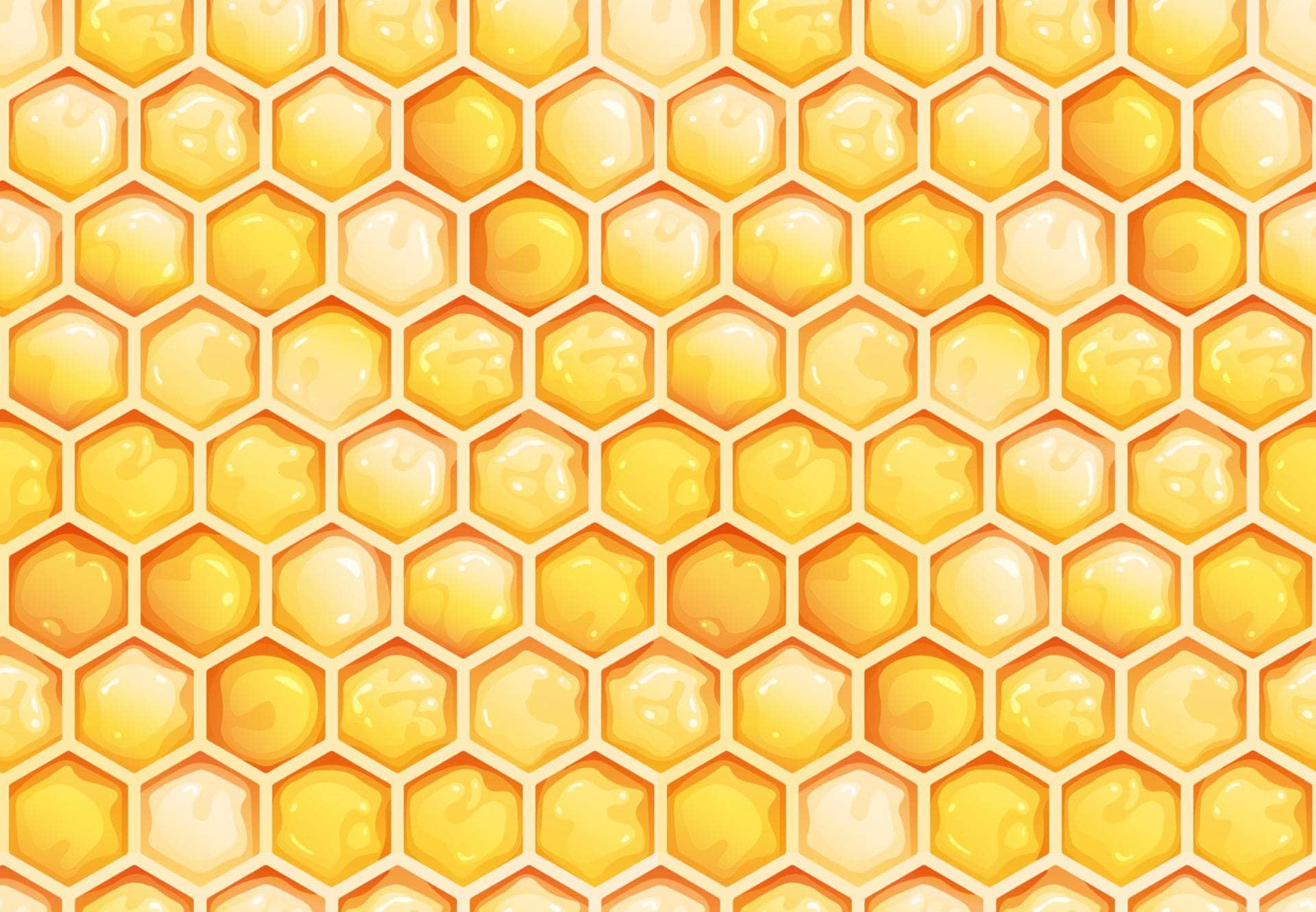 Bee Print Marine Vinyl - Flexa - Image 10