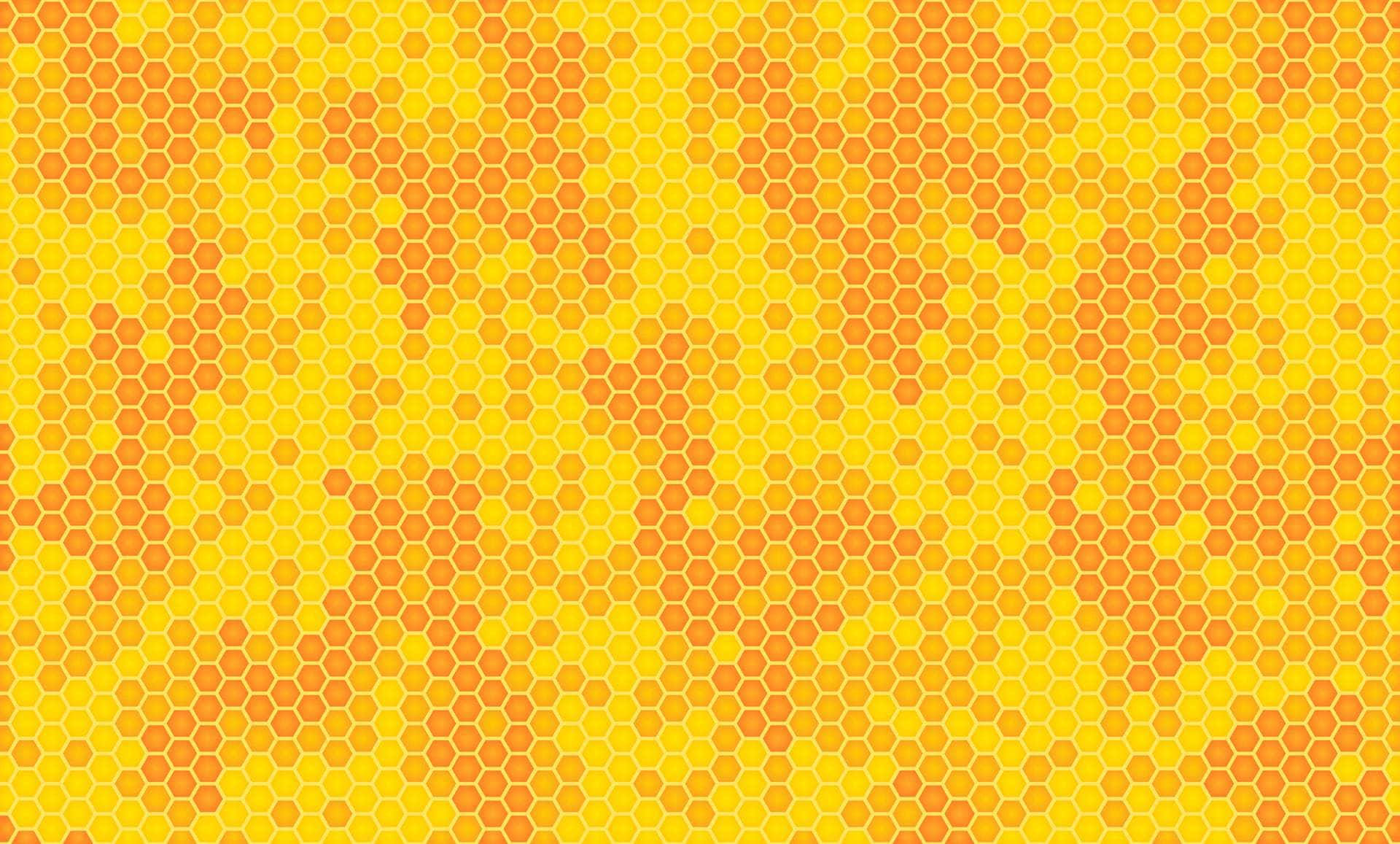 Bee Print Marine Vinyl - Flexa - Image 14