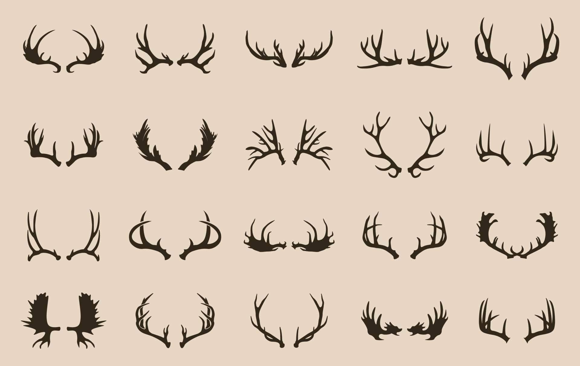 Deer Vinyl - Flexa - Image 2