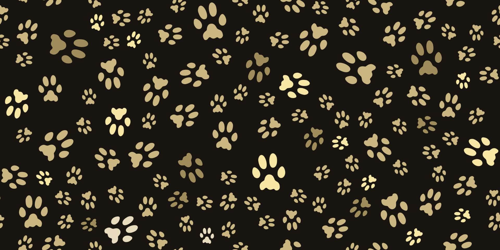 Dog Vinyl - Flexa - Image 3