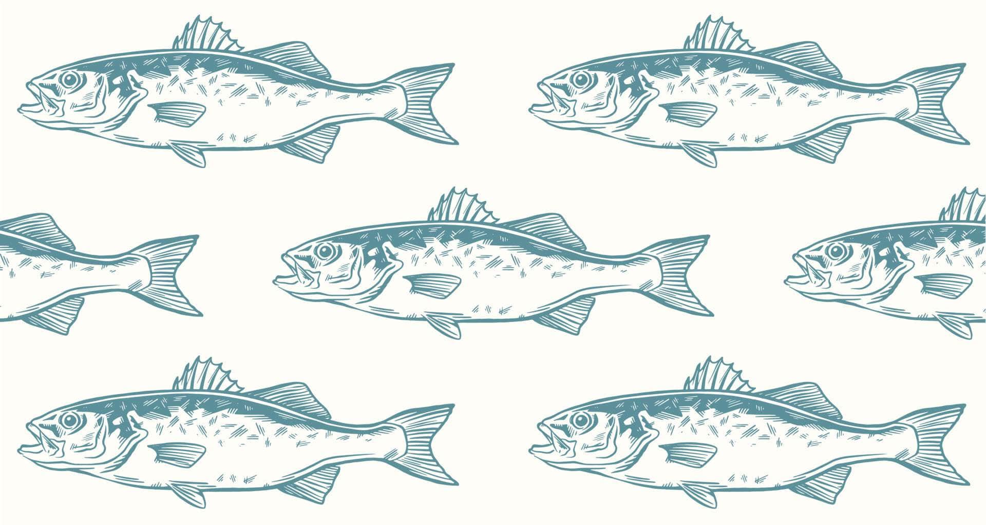 Fishing Vinyl - Flexa - Image 3