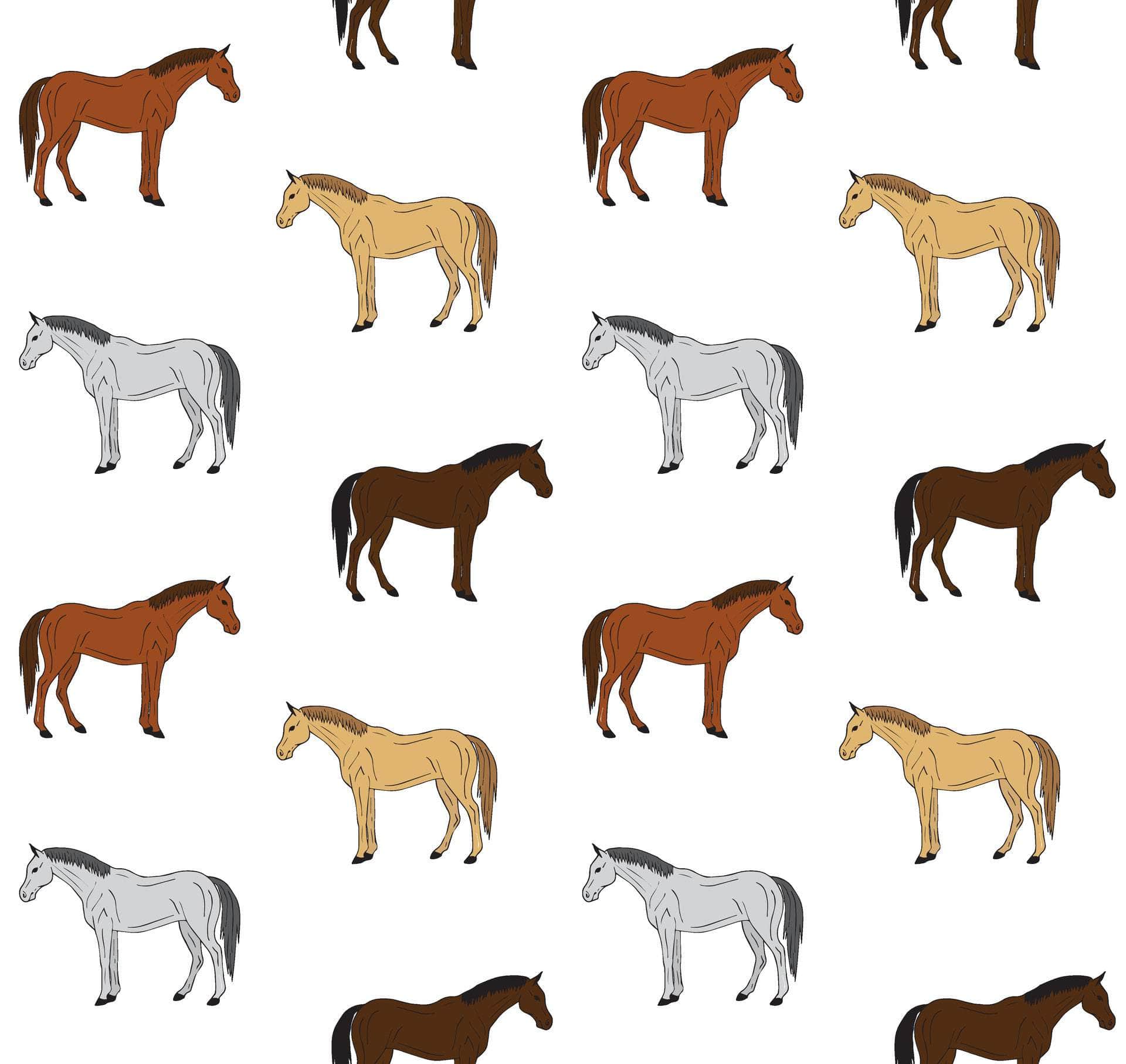 Horse Vinyl - Flexa - Image 8