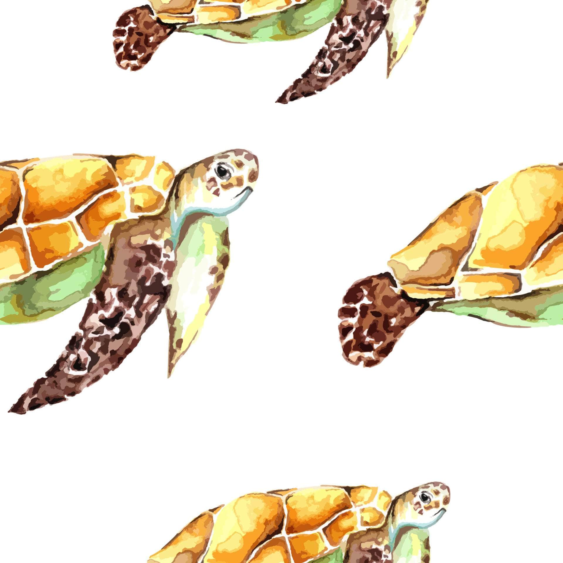 Turtle Vinyl - Flexa - Image 16